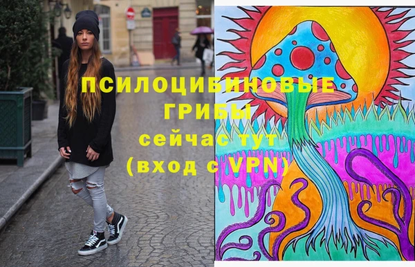 спайс Алексеевка