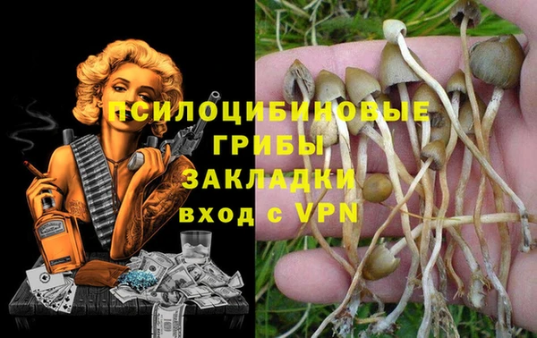 спайс Алексеевка