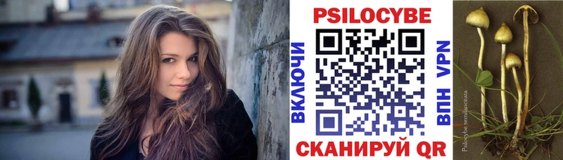 Псилоцибиновые грибы Cubensis  где найти   Ликино-Дулёво 